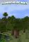 Cover image for the game TerraFirmaCraft