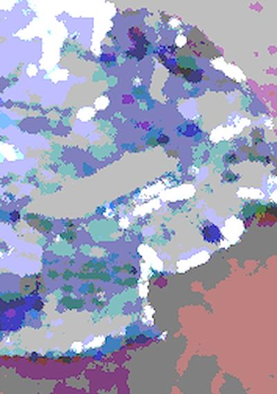 Cover image for the game The Clotted Island