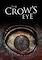 Cover image for the game The Crow's Eye