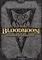 Cover image for the game The Elder Scrolls III: Bloodmoon