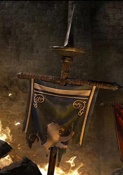 Cover image for the game The Elder Scrolls Online: Fallen Banners