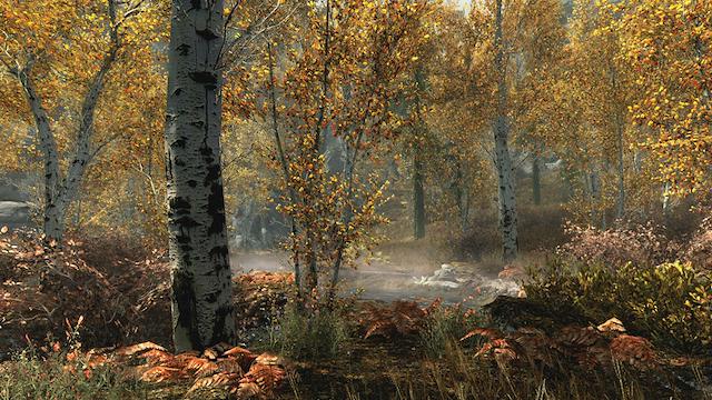 Image for the game The Elder Scrolls V: Skyrim - Special Edition