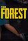 Cover image for the game The Forest