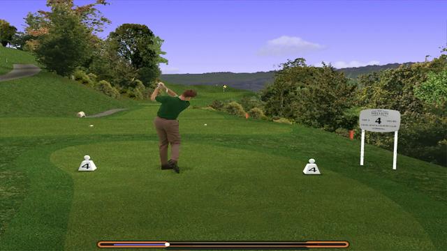 Image for the game The Golf Pro