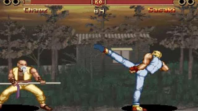 Image for the game The Great Fighter