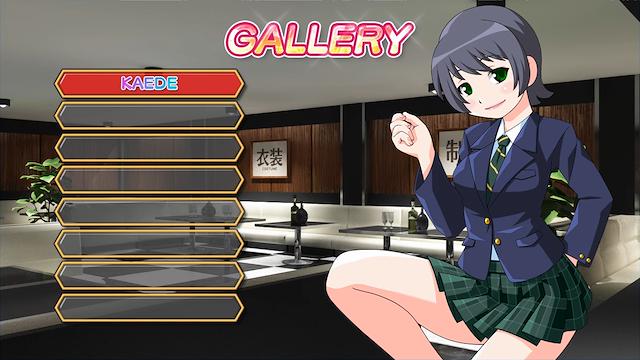 Image for the game The Houchi Play