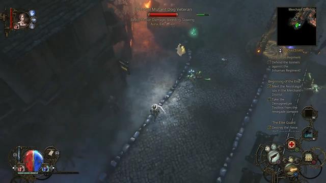 Image for the game The Incredible Adventures of Van Helsing II: Pigasus