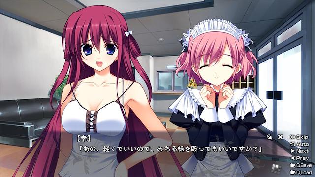 Image for the game The Labyrinth of Grisaia