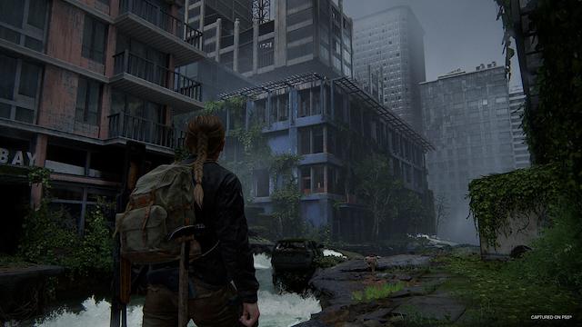 Image for the game The Last of Us Part II: Remastered