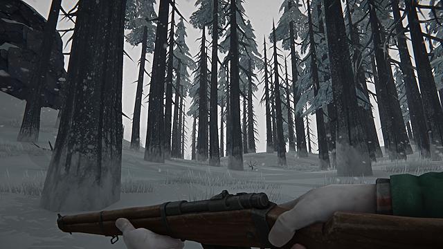 Image for the game The Long Dark