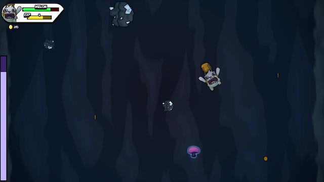 Image for the game The Misadventure of Melon