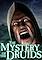 Cover image for the game The Mystery of the Druids