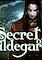 Cover image for the game The Secret of Hildegards