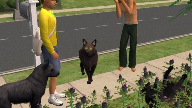 Image for the game The Sims 2: Pets