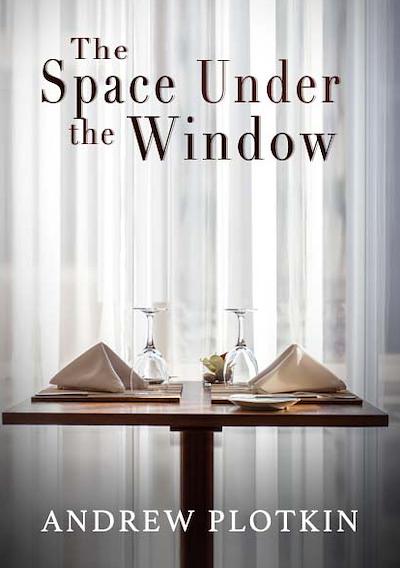 Cover image for the game The Space Under the Window