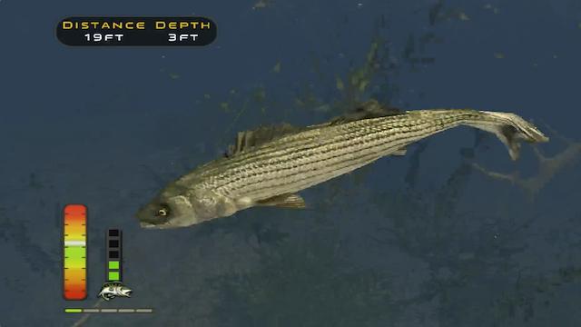 Image for the game The Strike