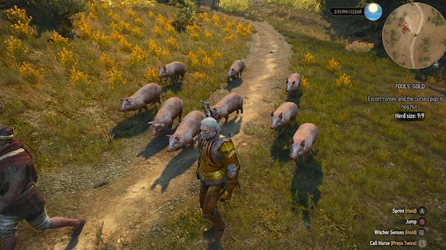 Image for the game The Witcher 3: Wild Hunt - New Quest 'Fool's Gold'