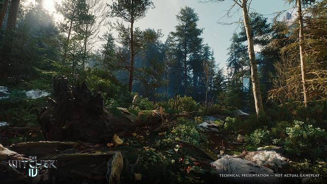 Image for the game The Witcher IV