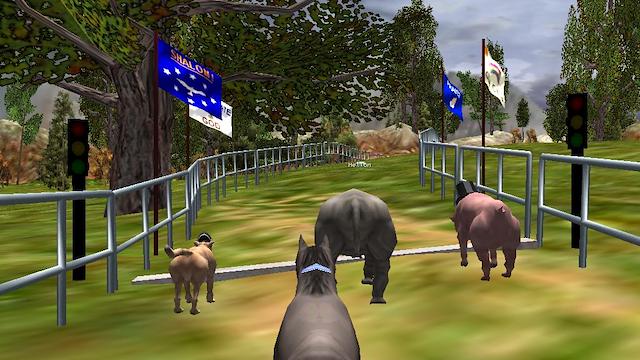 Image for the game The Zoo Race