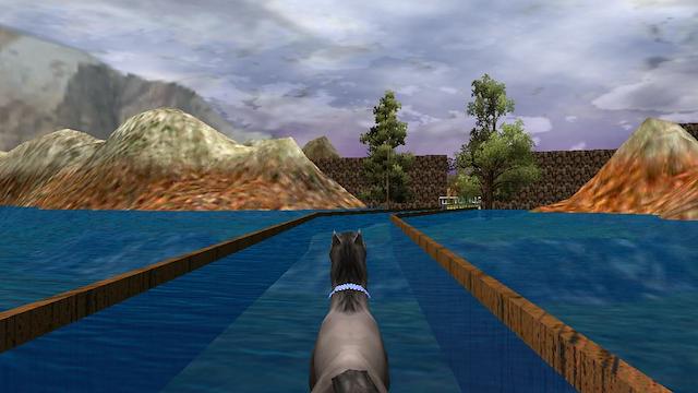 Image for the game The Zoo Race