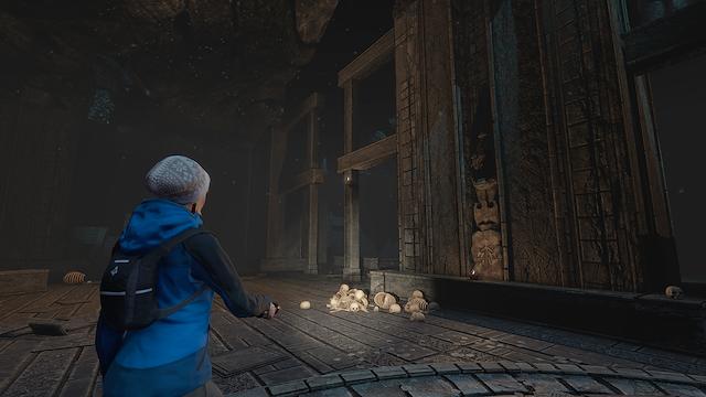 Image for the game Through the Woods