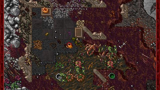 Image for the game Tibia
