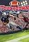 Cover image for the game Touchdown Pinball
