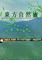 Cover image for the game Touhou Healing Nature