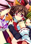 Cover image for the game Touhou Pocket Wars Evolution