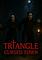 Cover image for the game Triangle: Cursed Town