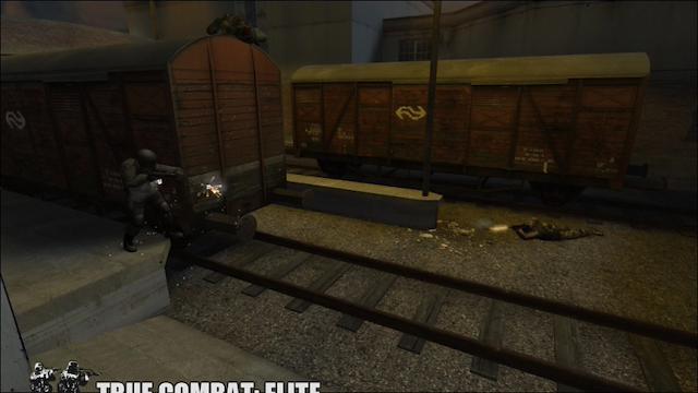 Image for the game True Combat: Elite