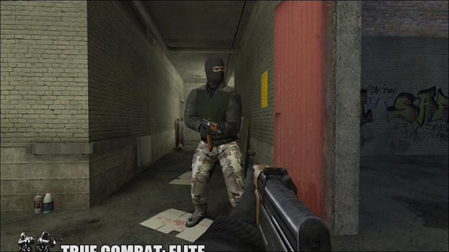 Image for the game True Combat: Elite