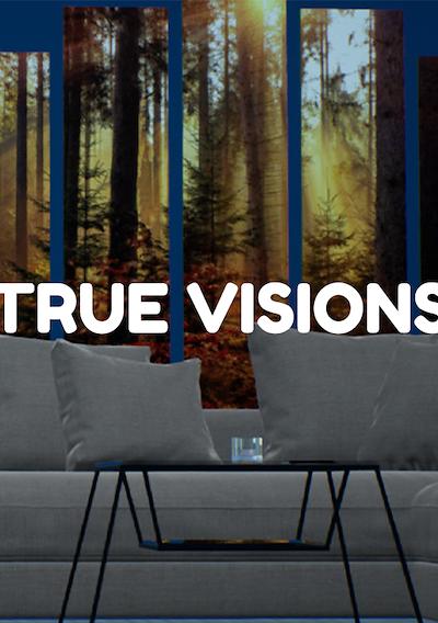 Cover image for the game True Visions