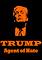 Cover image for the game Trump: Agent of Hate