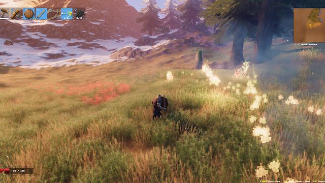 Image for the game Valheim