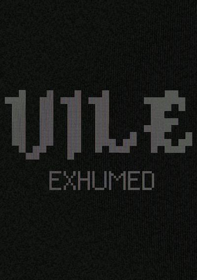 Cover image for the game Vile: Exhumed
