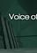Cover image for the game Voice of Vamana