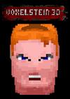 Cover image for the game Voxelstein 3D