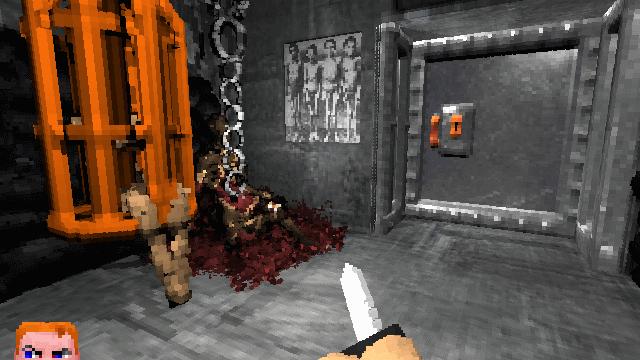 Image for the game Voxelstein 3D