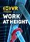 Cover image for the game VR Training: Work At Height