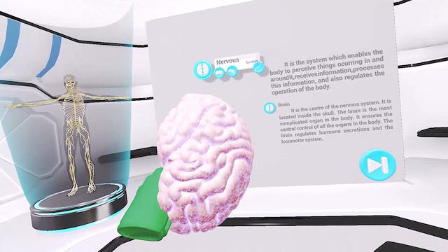 Image for the game VRLab Academy: Anatomy VR