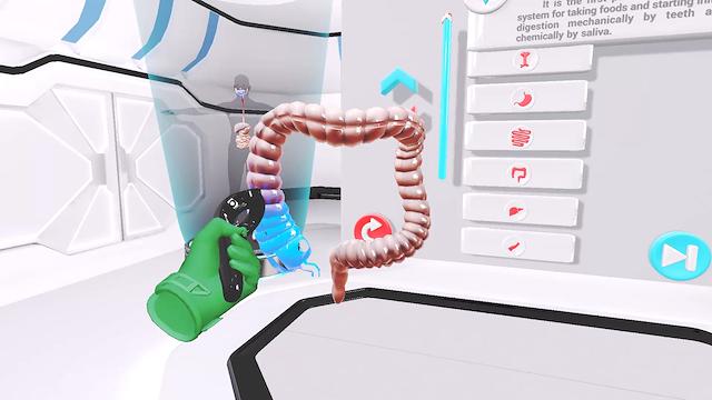 Image for the game VRLab Academy: Anatomy VR