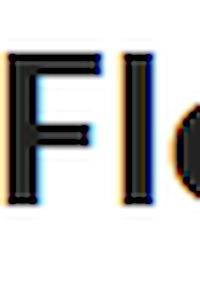Cover image for the game What The Floosh Game