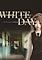Cover image for the game White Day: A Labyrinth Named School