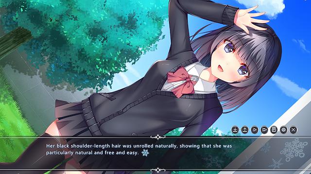 Image for the game White Wings