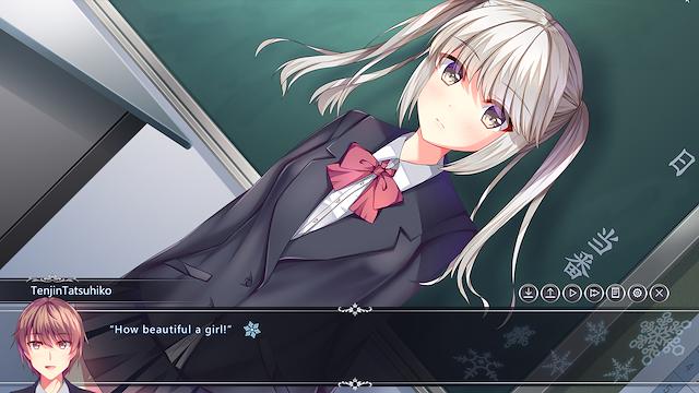 Image for the game White Wings