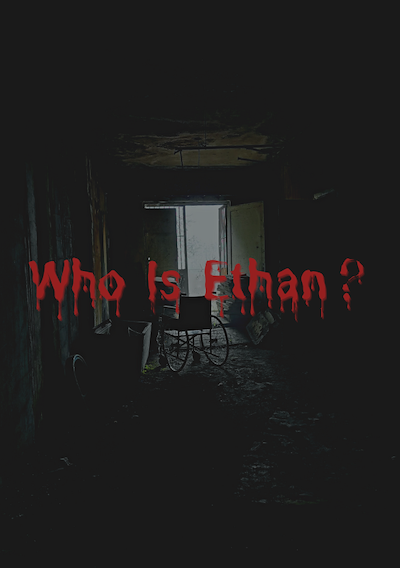 Cover image for the game Who Is Ethan?