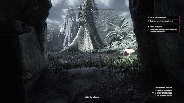 Image for the game Wilderdark