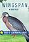 Cover image for the game Wingspan: Bird Pack - Birds of Continental Europe