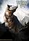 Cover image for the game WolfWars